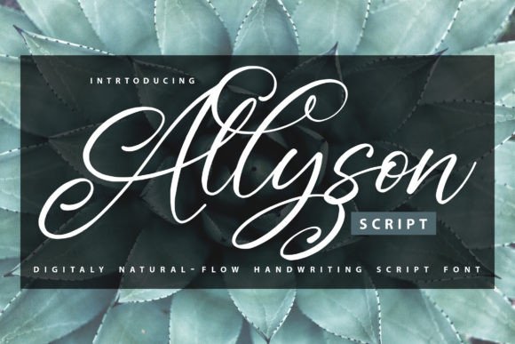 Allyson Script Font for Elegant Digital Branding