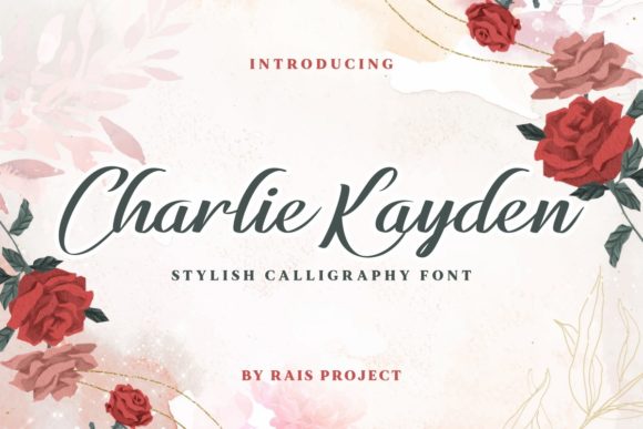 Charlie Kayden: The Font That Elevates Your Campaigns