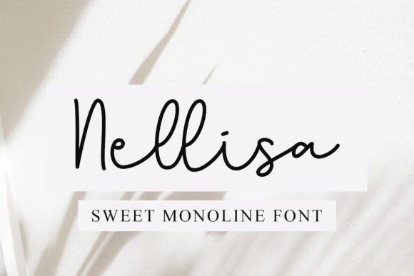 Nellisa: The Script Font That Elevates Your Brand’s Visual Story