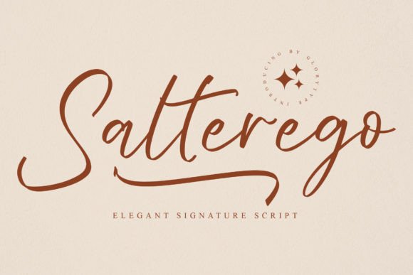 Salterego: Elegant Signature Script Font for Real Branding Work